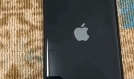 苹果14最新爆料小白,颠覆性设计，性能再升级，揭秘未来旗舰新篇章