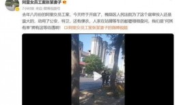 冤案爆料视频最新版,真相大白，受害者终获清白