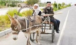 爆料二驴卖车视频,现场火爆，揭秘网红带货新潮流